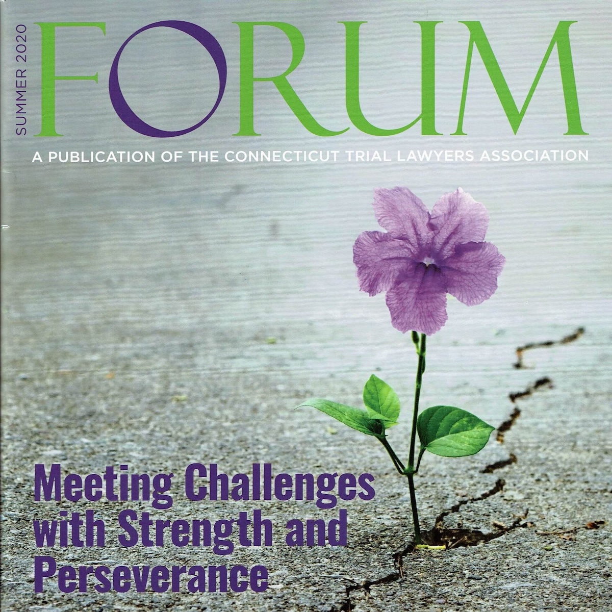 Attorney D’Amico was featured in the The Forum